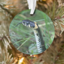 Suche nach zoologie ornamente Schlange