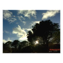 Suche nach haus und garten poster Jede person