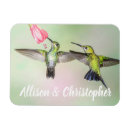 Suche nach kolibri magnete Jede person