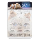 Suche nach katzen kalender magnete Kätzchen