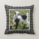 Suche nach weiße ziege kissen Niedlich