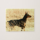 Suche nach dobermann puzzle Hund