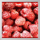 Suche nach himbeeren poster Obst