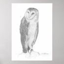 Suche nach schleiereulen poster Natur