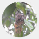 Suche nach mexico aufkleber Natur