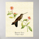 Suche nach inca poster Vintag