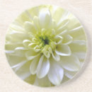 Suche nach chrysantheme untersetzer Natur