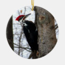 Suche nach specht ornamente Wild lebende tiere
