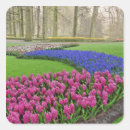 Suche nach hyazinthe aufkleber Rosa