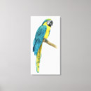 Suche nach macaws kunst Tropisch