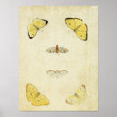 Suche nach falter kunst Schmetterling