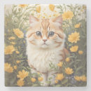 Suche nach kater untersetzer Kätzchen