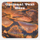 Suche nach python aufkleber Tier