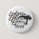 Suche nach schwarze schafe buttons Schwarzschaf