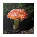 Suche nach washington staat fliesen Wald