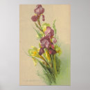 Suche nach litho poster Vintag