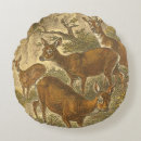 Suche nach wälder kissen Tier