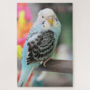 Suche nach parkett puzzle Vogelvogel