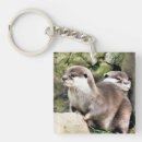 Suche nach niedlicher otter schlüsselanhänger Natur