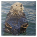 Suche nach eisberg fliesen Niedlich