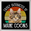 Suche nach maine coon poster Katzenliebhaber