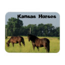 Suche nach die weiden magnete Bauernhof