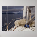 Suche nach segeln poster Sturm