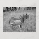 Suche nach drei freunde postkarten Für alle