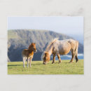 Suche nach stute und fohlen postkarten Ranch