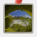 Suche nach seychellen ornamente Tropisch