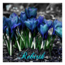 Suche nach wiedergeburt poster Blume