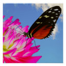 Suche nach rosa dahlien poster Schön