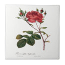 Suche nach redoute fliesen Rosen