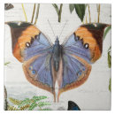 Suche nach blumenbilder fliesen Für sie