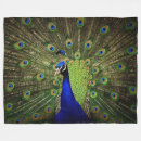 Suche nach pfau decken Jede person