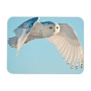 Suche nach flug magnete Eule