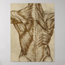 Suche nach vintage anatomie kunst Anatomisch