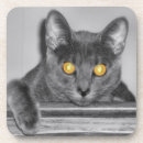 Suche nach katzenaugen untersetzer Für alle