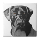 Suche nach labor fliesen Labrador