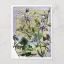 Suche nach zeigen postkarten Jede person