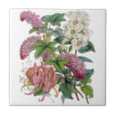 Suche nach botanische illustration fliesen Vintag