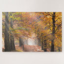 Suche nach herbstwald puzzle Sonne
