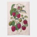 Suche nach himbeeren geschirr tücher Süß