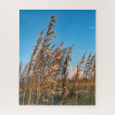 Suche nach goldener staat Strand
