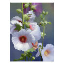 Suche nach hollyhock poster Rot