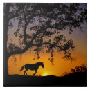 Suche nach eiche fliesen Pferdekunst