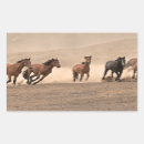 Suche nach galoppieren aufkleber Feld