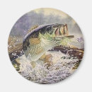 Suche nach bass magnete Fluss