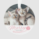 Suche nach katzen ornamente Modern