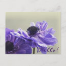Suche nach anemones postkarten Jede person